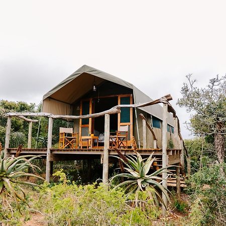 Woodbury Tented Camp - Amakhala Game Reserve Exteriér fotografie