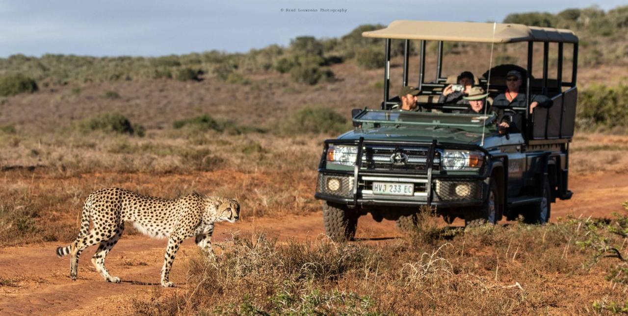 Woodbury Tented Camp - Amakhala Game Reserve Exteriér fotografie