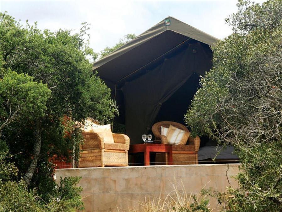 Woodbury Tented Camp - Amakhala Game Reserve Exteriér fotografie