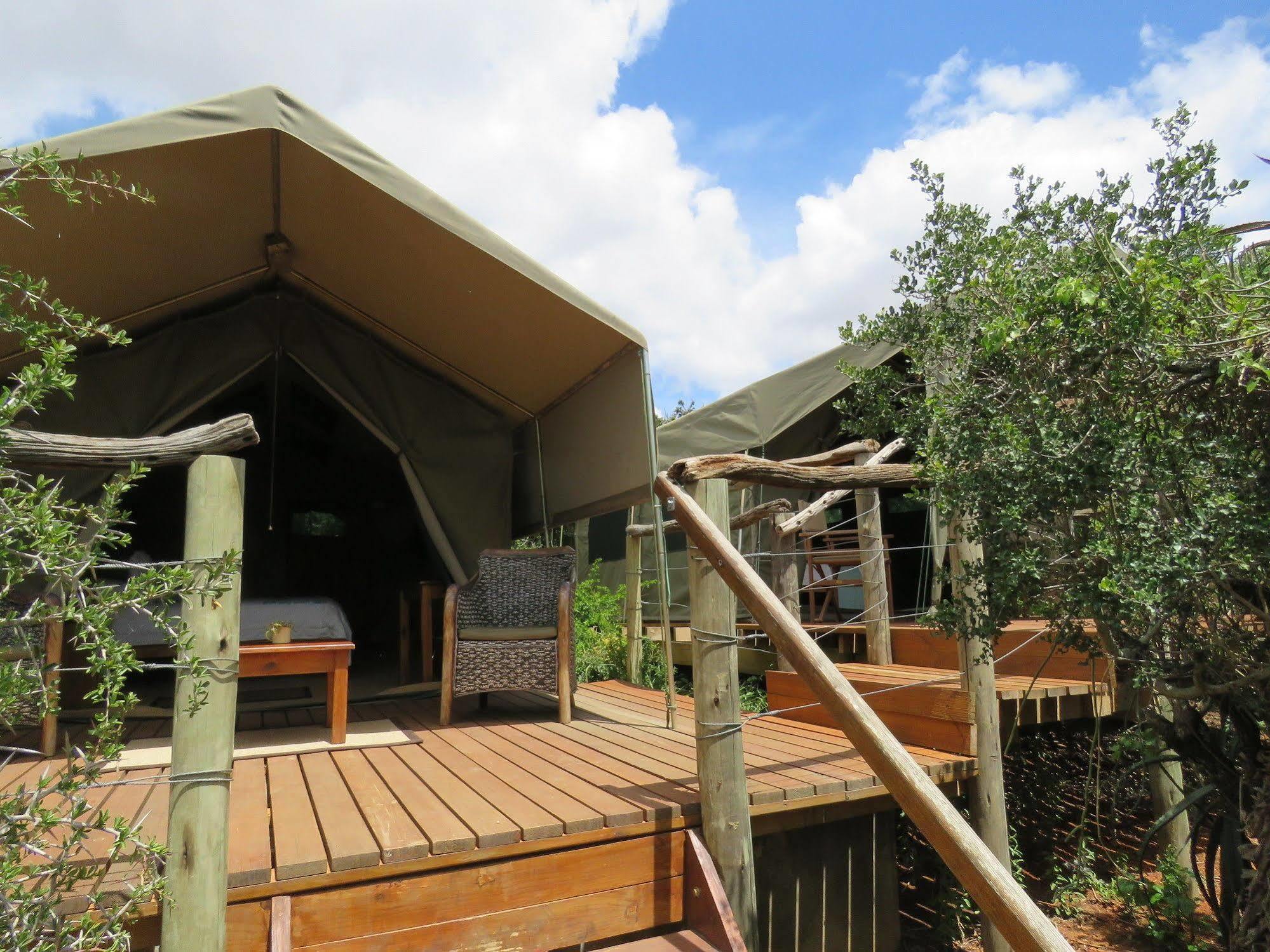 Woodbury Tented Camp - Amakhala Game Reserve Exteriér fotografie
