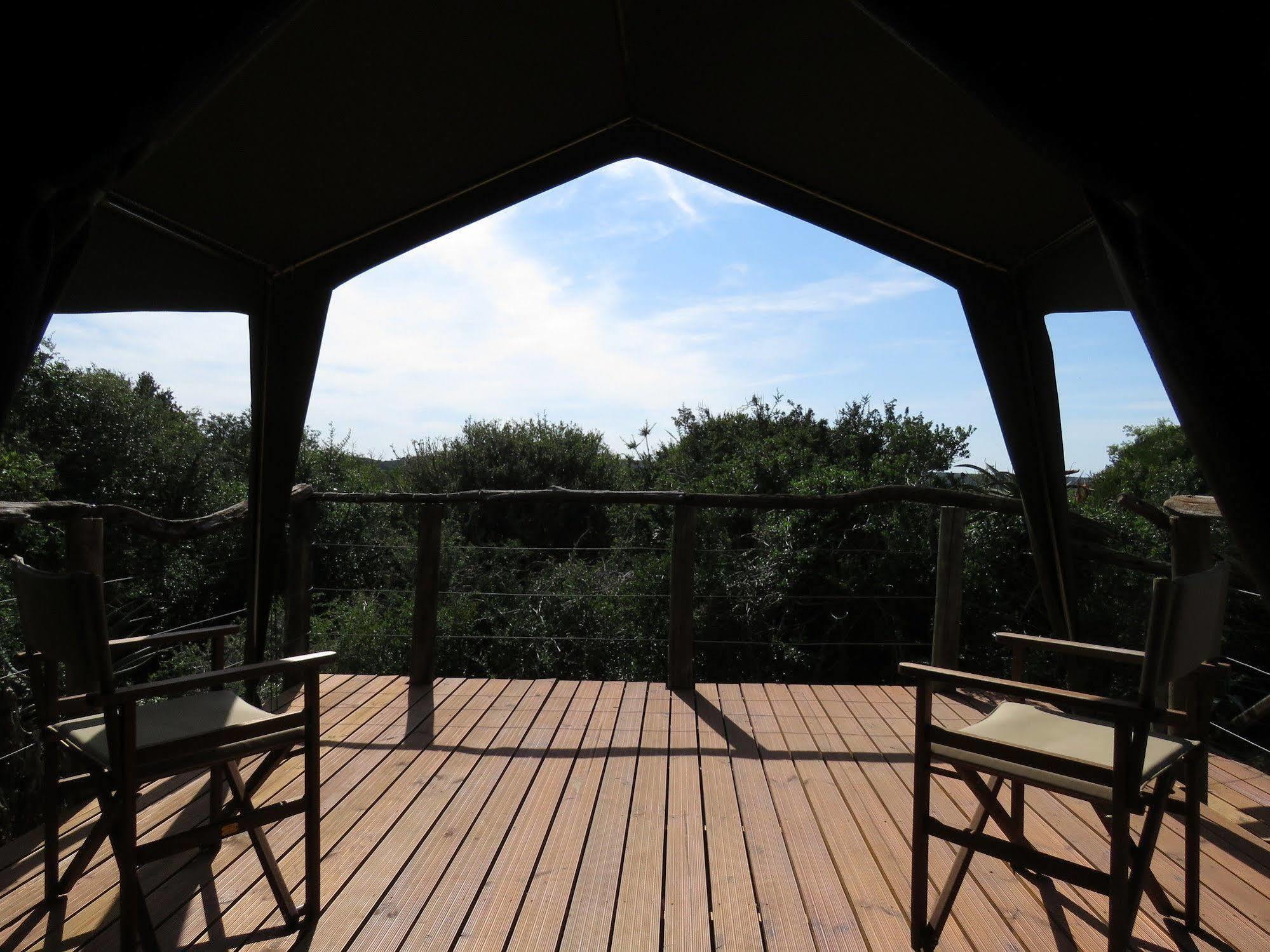 Woodbury Tented Camp - Amakhala Game Reserve Exteriér fotografie