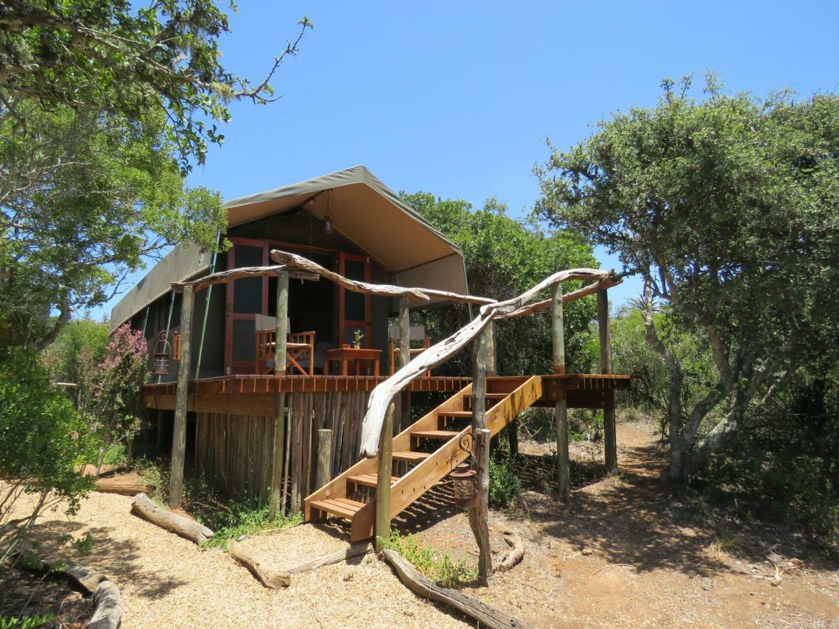 Woodbury Tented Camp - Amakhala Game Reserve Exteriér fotografie
